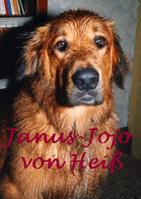 Janus-Jojo-von-Hei-Stammva